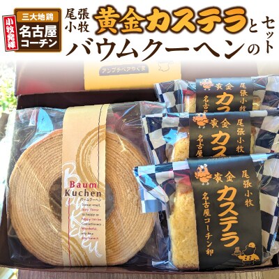 尾張小牧黄金カステラと小牧山城バウムクーヘンのセット 名古屋コーチン 和三盆[120A03]