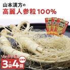 【3ヶ月に1度、4回送付定期便】山本漢方の無添加高麗人参粒　[027Y19-T]