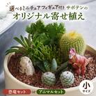 サボテンのオリジナル寄せ植え(小)【恐竜セット】(観葉植物・多肉植物)[133O03-01]