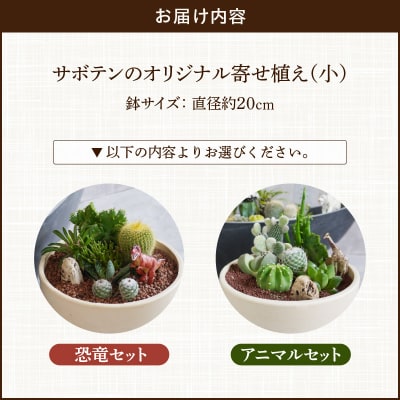 サボテンのオリジナル寄せ植え(小)【恐竜セット】(観葉植物・多肉植物)[133O03-01]