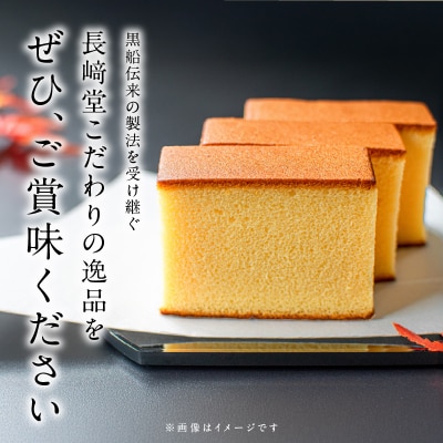 【2026年8月末終了】長崎堂自慢の逸品【長崎カステーラ　匠】(1本入) カステラ [008N02]