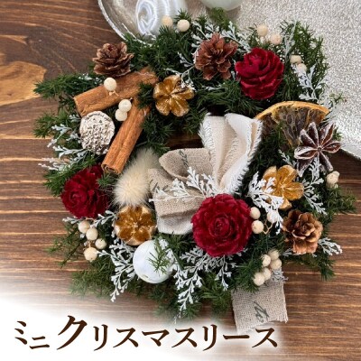 ミニクリスマスリース　[133O14-01]