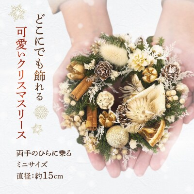 ミニクリスマスリース　[133O14-01]