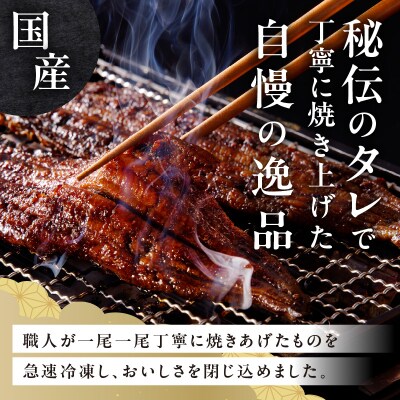 老舗のうなぎ 【きざみうなぎ】10袋セット(秘伝のタレ付)[081N08]