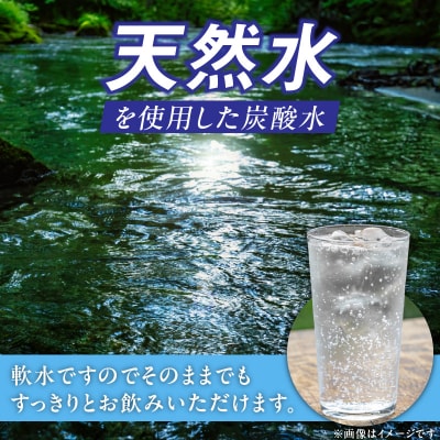 チェリオ強炭酸水 ブルーインパルス 青の衝撃1000ml×15本(無香料)[062N05-01]