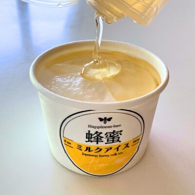 小牧市産のはちみつたっぷりミルクアイス・追いはちみつ付き 90g×6個 [055A40]