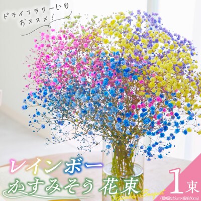 【佳花園】レインボーかすみそう 花束 [156K03]
