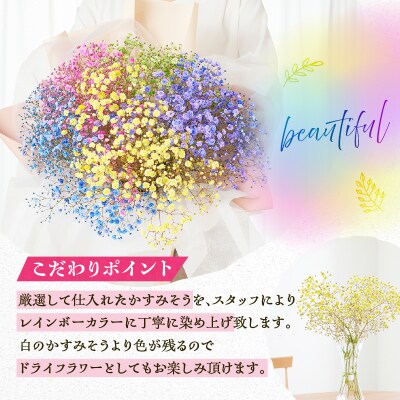 【佳花園】レインボーかすみそう 花束 [156K03]