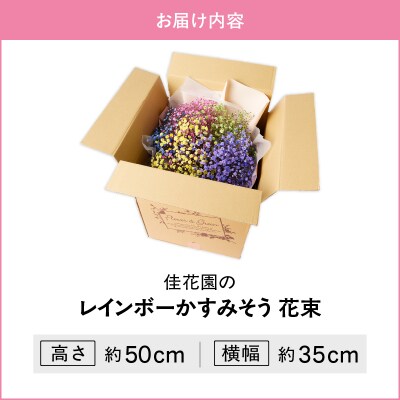 【佳花園】レインボーかすみそう 花束 [156K03]