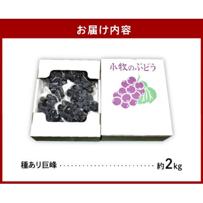 【残りわずか!】こだわりの種あり巨峰　約2kg　2026年8月20日頃発送分[034K01]