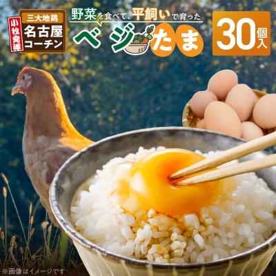 【医師監修】野菜を食べて育った平飼いの卵「名古屋コーチン ベジたま」(30個入り)　[154T01]