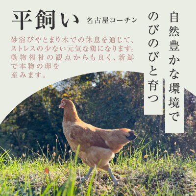 【医師監修】野菜を食べて育った平飼いの卵「名古屋コーチン ベジたま」(30個入り)　[154T01]