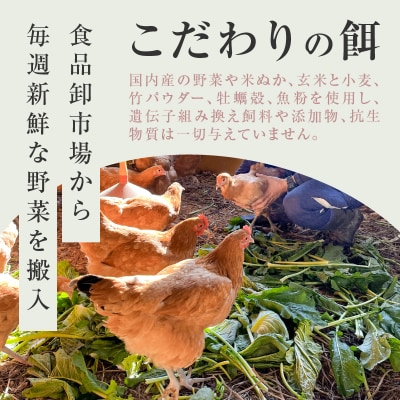 【医師監修】野菜を食べて育った平飼いの卵「名古屋コーチン ベジたま」(30個入り)　[154T01]