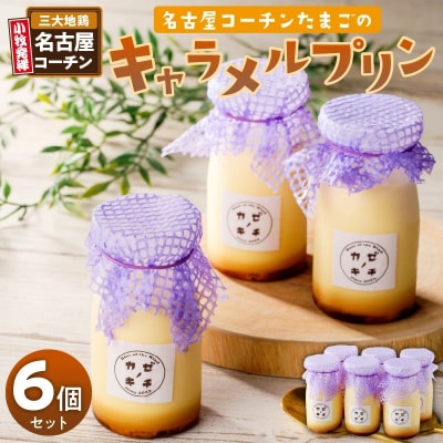 名古屋コーチンたまごのキャラメルプリン　6個セット[075K11]