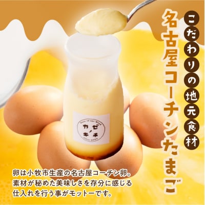 名古屋コーチンたまごのキャラメルプリン　6個セット[075K11]