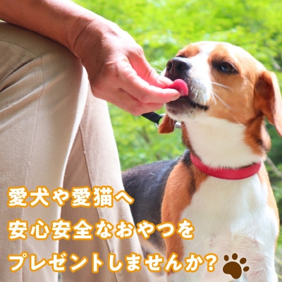 【大容量】犬猫用 ペットフード 国産無添加おやつジャーキー まぐろ(魚)[143O22]