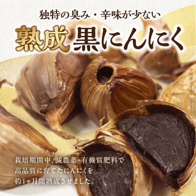 日本製薬工業 北海道産ピンクにんにくを使用した熟成黒にんにく 抗酸化作用 黒ニンニク[110N03]