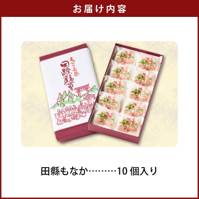 田縣もなか10個入り[176T01]