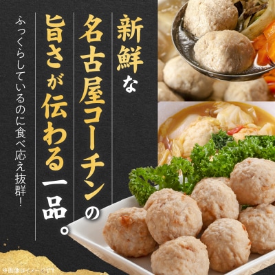 『親どり名古屋コーチン』肉だんご(国産鶏肉 肉団子 鶏団子 肉だんご 鶏だんご )　[006K06]