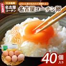 【3ヶ月定期便】「山ちゃん家の生みたて葉酸たまご」名古屋コーチン卵 40個×3回[132Y03-T]