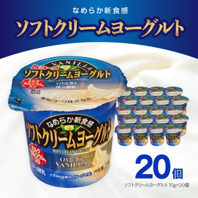 愛知ヨーク ソフトクリームヨーグルト 20個入[108A07]