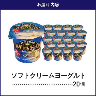 愛知ヨーク ソフトクリームヨーグルト 20個入[108A07]