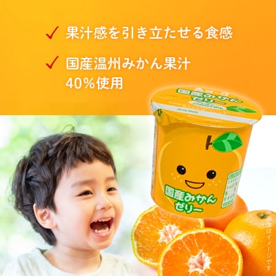 愛知ヨーク 国産みかんゼリー・国産ももゼリー 20個入[108A10]