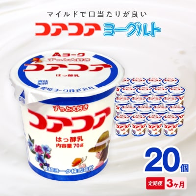 【3ヶ月定期便】愛知ヨーク コアコアヨーグルト 20個入[108A01-T]