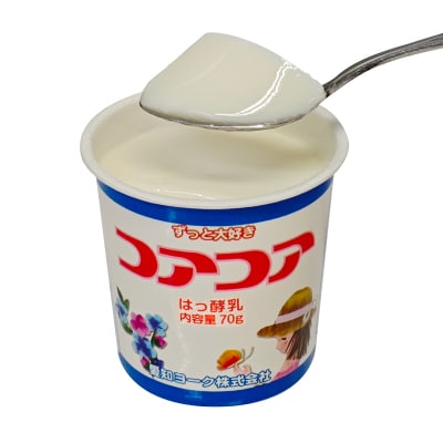 【3ヶ月定期便】愛知ヨーク コアコアヨーグルト 20個入[108A01-T]