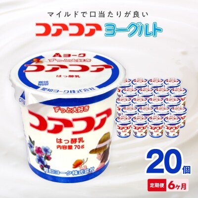 【6ヶ月定期便】愛知ヨーク コアコアヨーグルト 20個入[108A02-T]