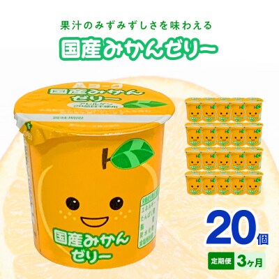 【3ヶ月定期便】愛知ヨーク 国産みかんゼリー 20個入[108A03-T]