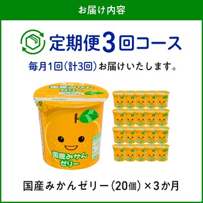 【3ヶ月定期便】愛知ヨーク 国産みかんゼリー 20個入[108A03-T]