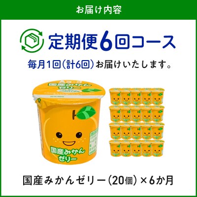 【6ヶ月定期便】愛知ヨーク 国産みかんゼリー 20個入[108A04-T]