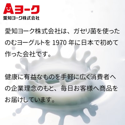【3ヶ月定期便】愛知ヨーク コアコアヨーグルト&国産ゼリーセット 16個入[108A05-T]