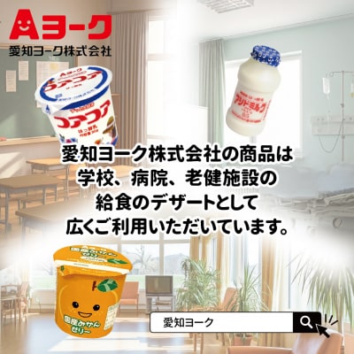 【3ヶ月定期便】愛知ヨーク コアコアヨーグルト&国産ゼリーセット 16個入[108A05-T]
