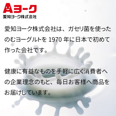 【3ヶ月定期便】愛知ヨーク コアコアいちご・コアコアりんご 20個入[108A07-T]