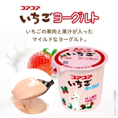 【6ヶ月定期便】愛知ヨーク コアコアいちご・コアコアりんご 20個入[108A08-T]