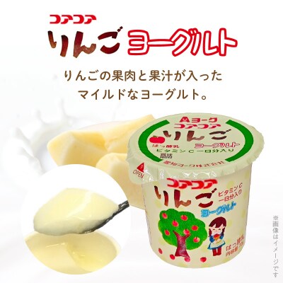 【6ヶ月定期便】愛知ヨーク コアコアいちご・コアコアりんご 20個入[108A08-T]