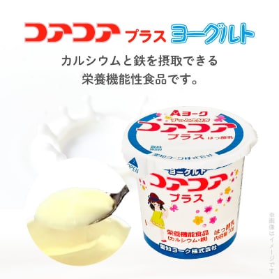 【6ヶ月定期便】愛知ヨーク コアコアプラスヨーグルト 20個入[108A12-T]