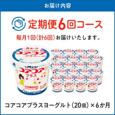 【6ヶ月定期便】愛知ヨーク コアコアプラスヨーグルト 20個入[108A12-T]