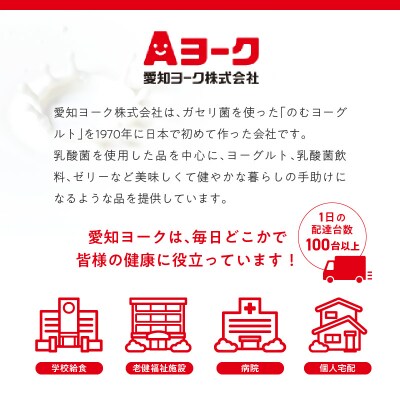 【6ヶ月定期便】愛知ヨーク 国産ももゼリー 20個入[108A14-T]