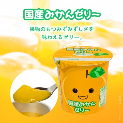 【6ヶ月定期便】愛知ヨーク 国産みかんゼリー・国産ももゼリー 20個入[108A16-T]