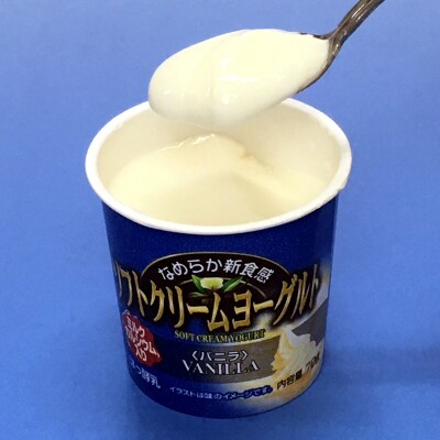【6ヶ月定期便】愛知ヨーク ソフトクリームヨーグルト 20個入[108A10-T]
