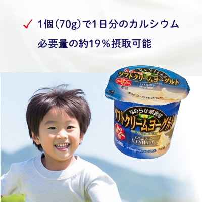 【6ヶ月定期便】愛知ヨーク ソフトクリームヨーグルト 20個入[108A10-T]