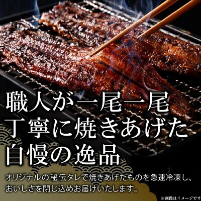 【土用の丑の日配送】老舗のうなぎ【特選上長焼】5尾セット(秘伝のタレ・山椒付)[081N06-02]