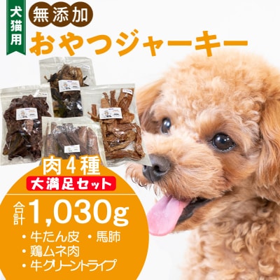 【3ヶ月定期便】【大満足セット】犬猫用 無添加おやつジャーキー 肉4種詰め合わせ[143O05-T]