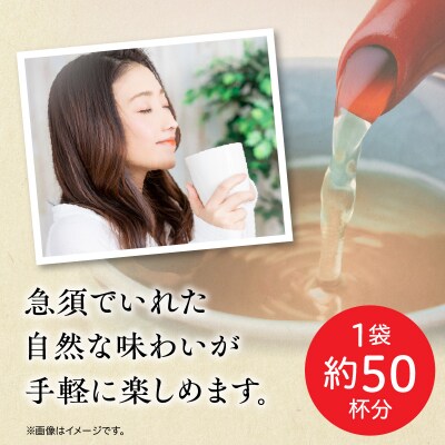 【3ヶ月定期便】さらさらとける お～いお茶 ほうじ茶 40g×6袋[091I11-T]