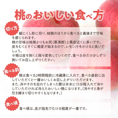 【数量限定】 しのおかの大きな桃(白鳳・特秀クラス)[017O01]