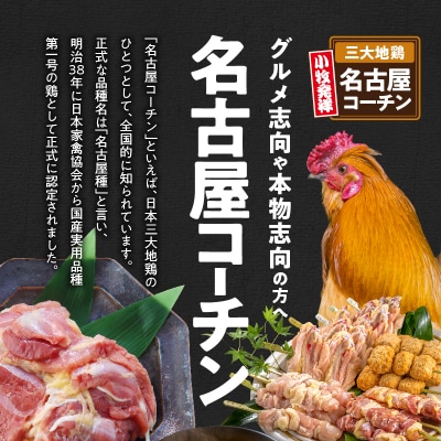純系 名古屋コーチン ひな鶏 「食べ比べ4種セット」(地鶏 国産鶏肉)[006K08]