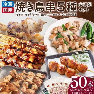 【大満足セット】冷凍国産鶏 焼き鳥串 人気の5種 合計50本セット 小分け パック[129T07]